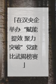 在汉央企举办“赋能提效 聚力突破”党建比武揭榜赛